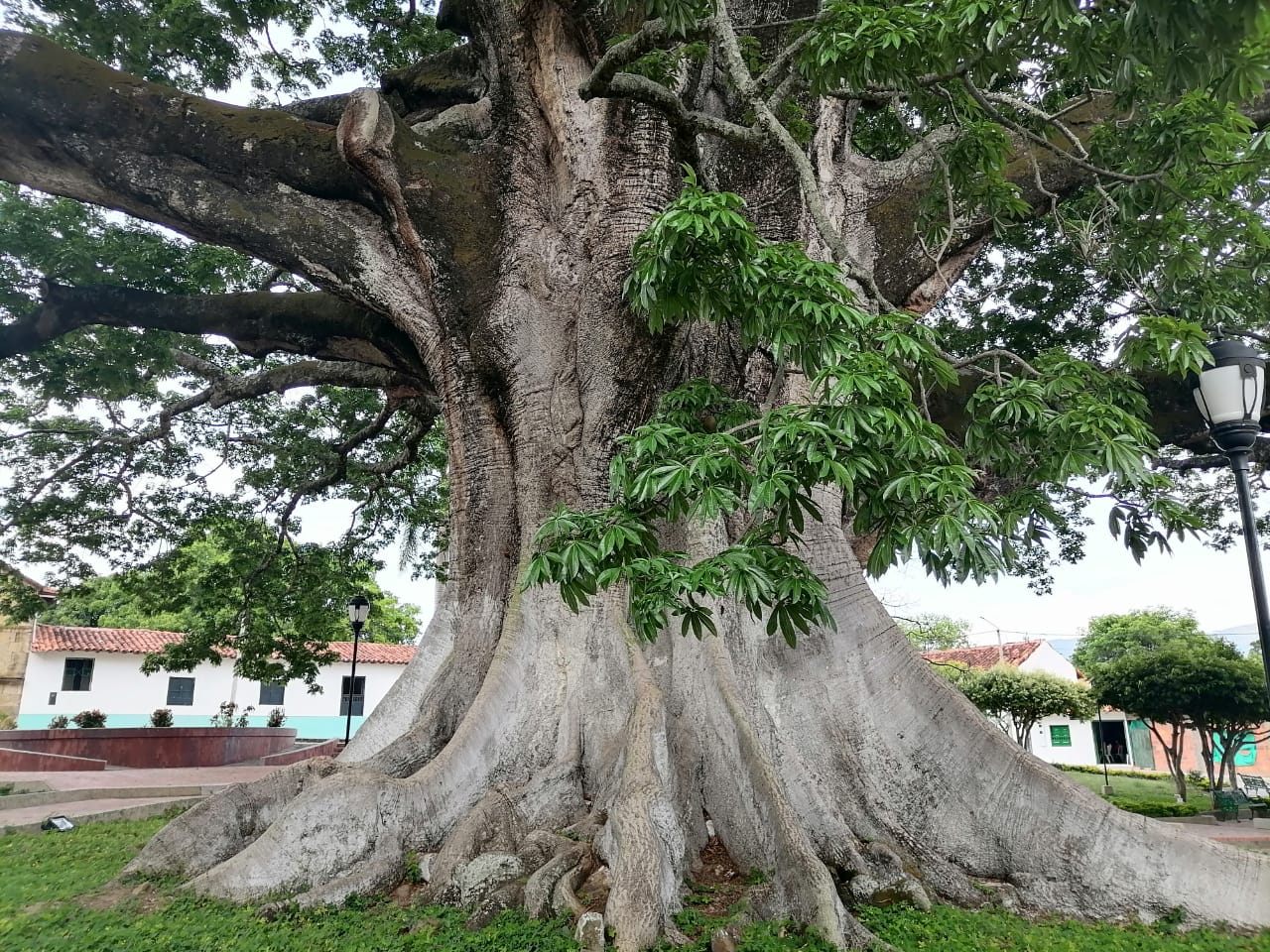 Senderismo y Tracking en Santander: Descubre los Caminos Ancestrales de Lenguerque